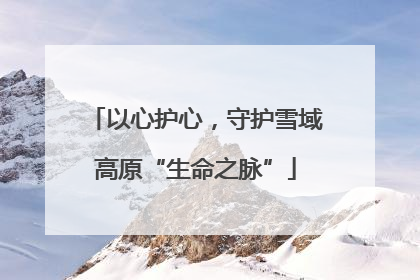 以心护心，守护雪域高原“生命之脉”