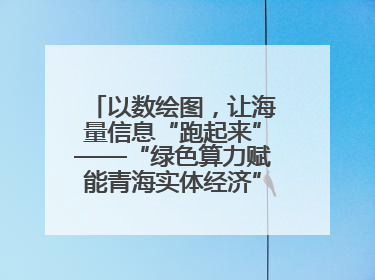 以数绘图，让海量信息“跑起来”——“绿色算力赋能青海实体经济”系列报道①