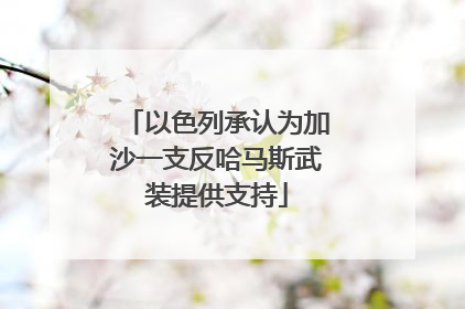 以色列承认为加沙一支反哈马斯武装提供支持