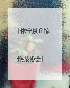 休宁茶企惊艳茶博会