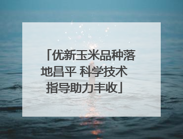 优新玉米品种落地昌平 科学技术指导助力丰收