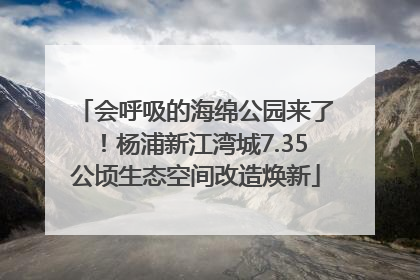 会呼吸的海绵公园来了！杨浦新江湾城7.35公顷生态空间改造焕新