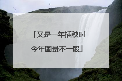 又是一年插秧时 今年图景不一般