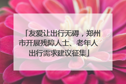 友爱让出行无碍，郑州市开展残障人士、老年人出行需求建议征集