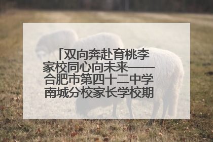 双向奔赴育桃李 家校同心向未来——合肥市第四十二中学南城分校家长学校期末总结会圆满召开
