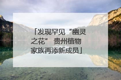 发现罕见“幽灵之花” 贵州植物家族再添新成员