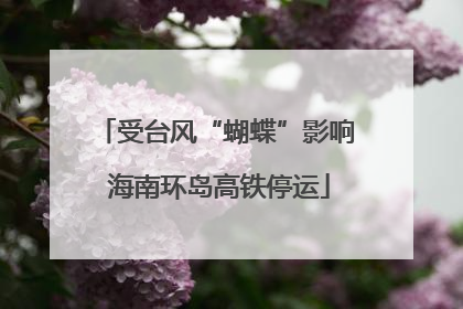受台风“蝴蝶”影响 海南环岛高铁停运