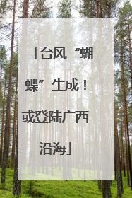 台风“蝴蝶”生成！或登陆广西沿海