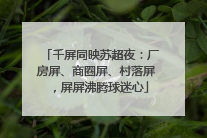 千屏同映苏超夜：厂房屏、商圈屏、村落屏，屏屏沸腾球迷心