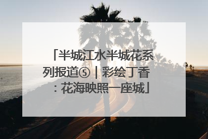 半城江水半城花系列报道⑤｜彩绘丁香：花海映照一座城
