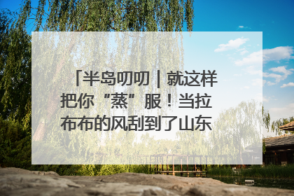半岛叨叨｜就这样把你“蒸”服！当拉布布的风刮到了山东馒头界……