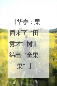 华亭：果园来了“田秀才”树上结出“金果果”