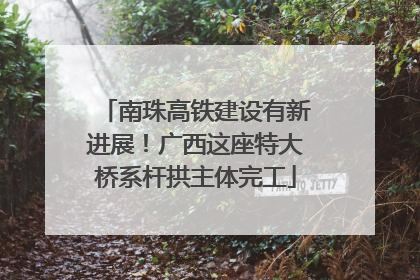 南珠高铁建设有新进展！广西这座特大桥系杆拱主体完工