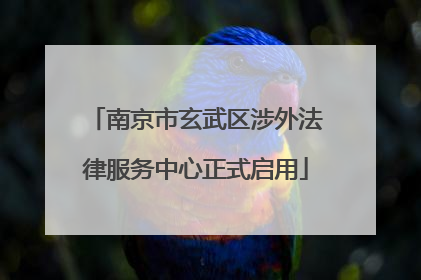 南京市玄武区涉外法律服务中心正式启用