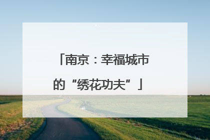 南京：幸福城市的“绣花功夫”