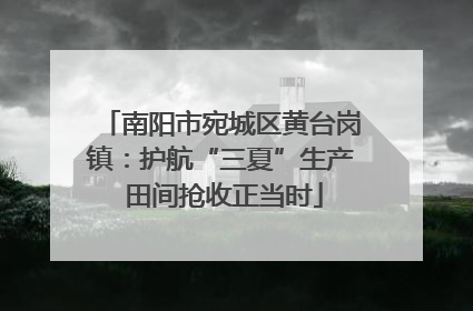 南阳市宛城区黄台岗镇：护航“三夏”生产 田间抢收正当时