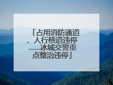 占用消防通道、人行横道违停……冰城交警重点整治违停
