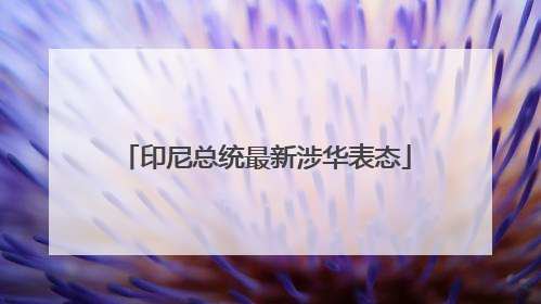 印尼总统最新涉华表态