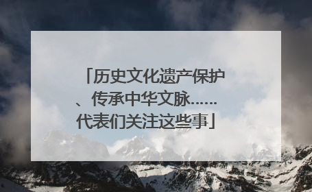 历史文化遗产保护、传承中华文脉……代表们关注这些事
