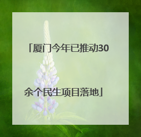 厦门今年已推动30余个民生项目落地