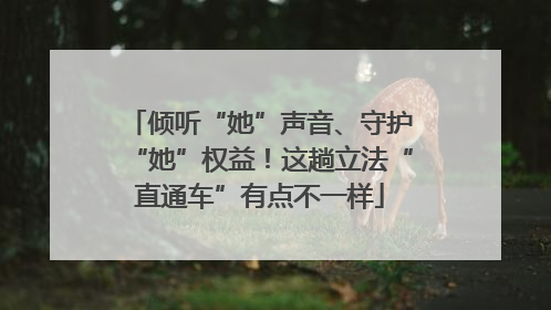 倾听“她”声音、守护“她”权益！这趟立法“直通车”有点不一样