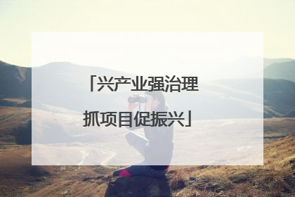 兴产业强治理 抓项目促振兴