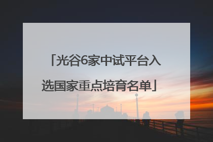 光谷6家中试平台入选国家重点培育名单