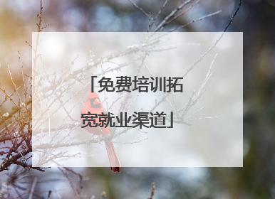 免费培训拓宽就业渠道
