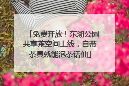 免费开放！东湖公园共享茶空间上线，自带茶具就能泡茶话仙