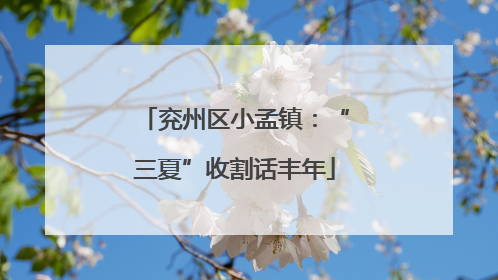 兖州区小孟镇：“三夏”收割话丰年