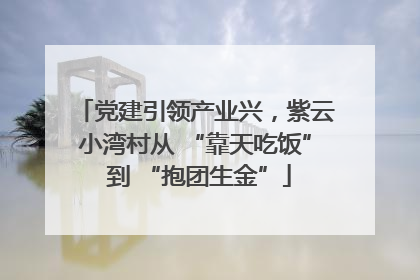 党建引领产业兴，紫云小湾村从 “靠天吃饭” 到 “抱团生金”