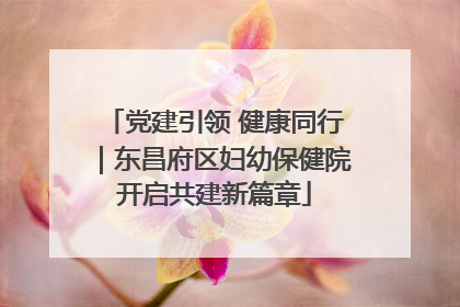 党建引领 健康同行｜东昌府区妇幼保健院开启共建新篇章