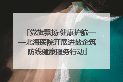 党旗飘扬·健康护航——北海医院开展进盐企筑防线健康服务行动