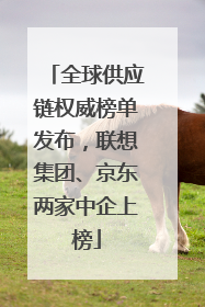 全球供应链权威榜单发布，联想集团、京东两家中企上榜