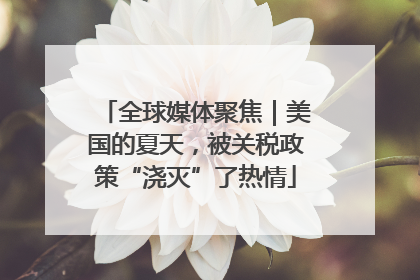 全球媒体聚焦｜美国的夏天，被关税政策“浇灭”了热情