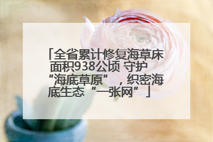 全省累计修复海草床面积938公顷 守护“海底草原”，织密海底生态“一张网”