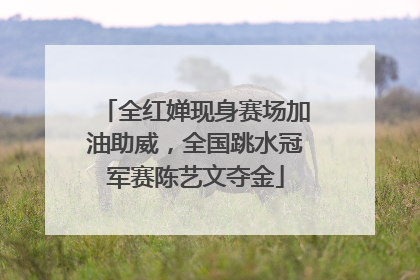 全红婵现身赛场加油助威，全国跳水冠军赛陈艺文夺金