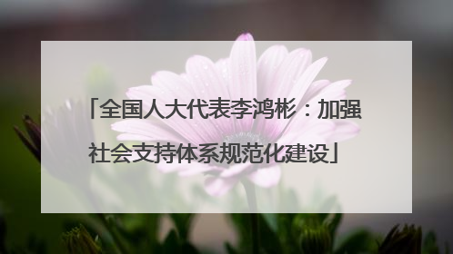 全国人大代表李鸿彬：加强社会支持体系规范化建设