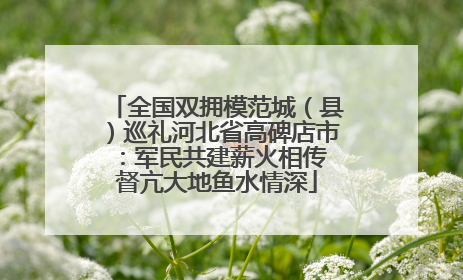 全国双拥模范城（县）巡礼河北省高碑店市：军民共建薪火相传 督亢大地鱼水情深