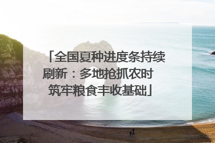 全国夏种进度条持续刷新：多地抢抓农时 筑牢粮食丰收基础