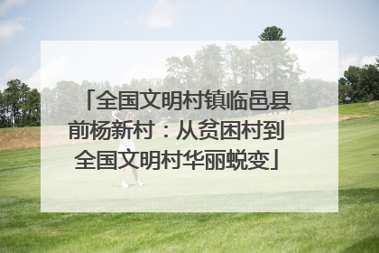 全国文明村镇临邑县前杨新村：从贫困村到全国文明村华丽蜕变