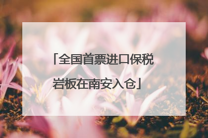 全国首票进口保税岩板在南安入仓