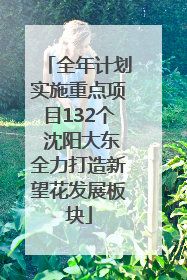 全年计划实施重点项目132个 沈阳大东全力打造新望花发展板块