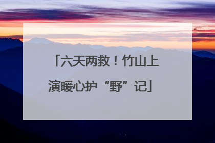 六天两救！竹山上演暖心护“野”记