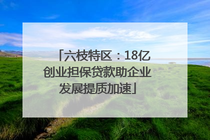 六枝特区：18亿创业担保贷款助企业发展提质加速