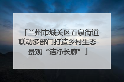 兰州市城关区五泉街道联动多部门打造乡村生态景观“洁净长廊”