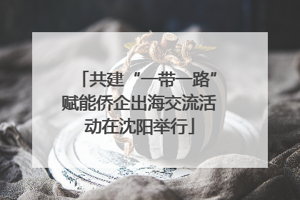 共建“一带一路”赋能侨企出海交流活动在沈阳举行