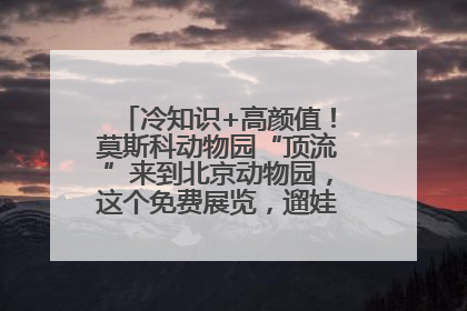 冷知识+高颜值！莫斯科动物园“顶流”来到北京动物园，这个免费展览，遛娃拍照两不误！