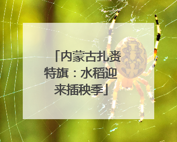 内蒙古扎赉特旗：水稻迎来插秧季