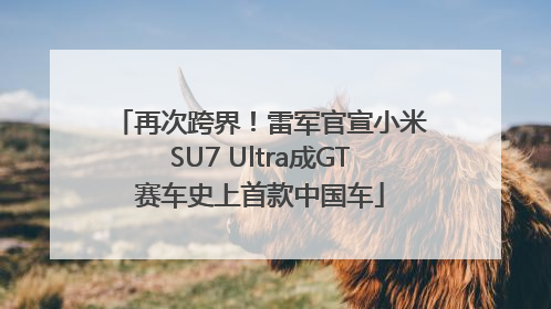 再次跨界！雷军官宣小米SU7 Ultra成GT赛车史上首款中国车